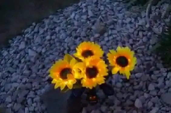 JHBOX Solar Sunflower Lights